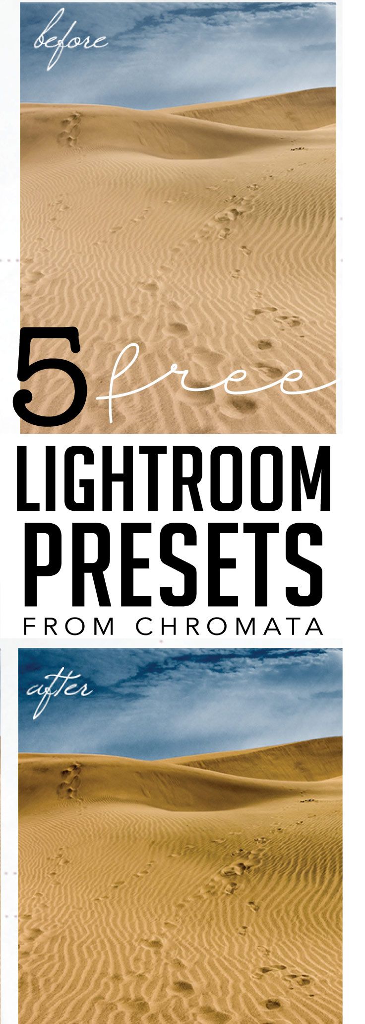 free lightroom presets for photographers